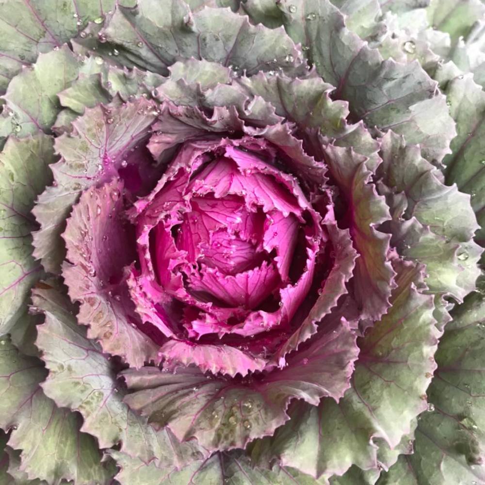 Meet your Posher, Robert l.